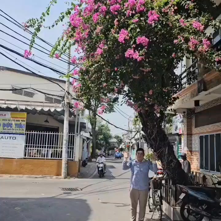 Nhà phố Bình Tân 60m² giá 8 tỷ - Kinh doanh đỉnh cao ngay Hương Lộ 2!