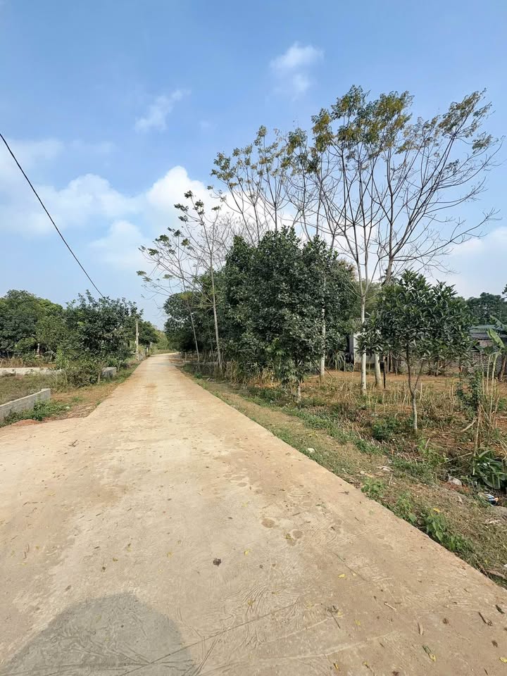 Đất thổ cư Đoàn Kết, Yên Thủy, Hòa Bình 110m² - Cơ hội đầu tư hấp dẫn!