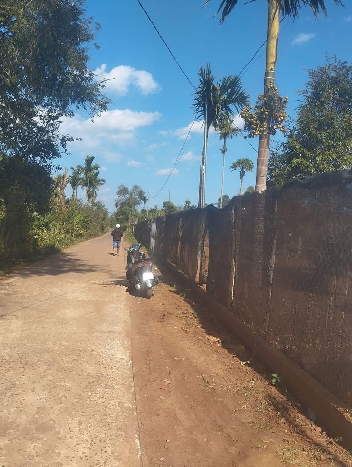 Đất nền hẻm cấp 1 tại Cuor Đăng, Cư M'gar - Diện tích 3500m², giá chỉ 130 triệu/m²!