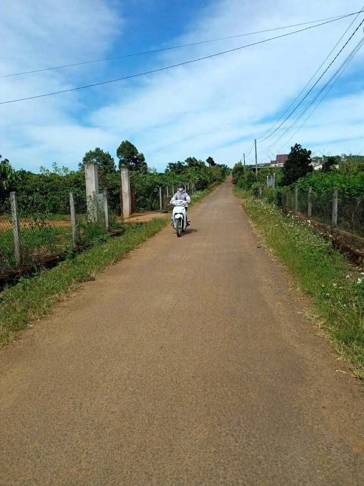 Đất mặt đường nhựa thông Lộc Đức, Bảo Lâm 619m² giá 1.5 tỷ - Đầu tư sinh lời ngay!