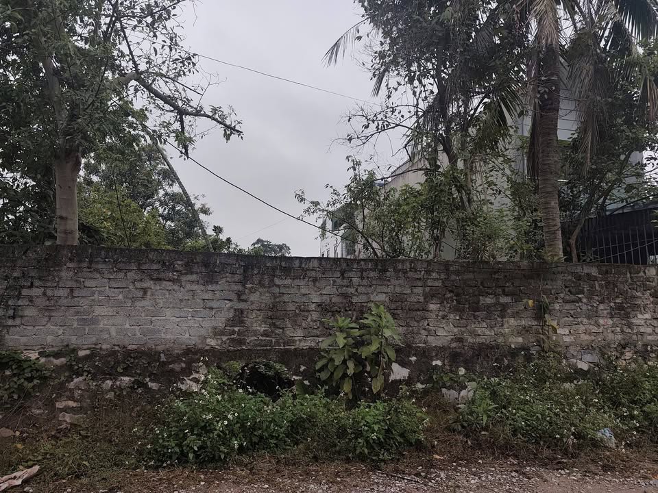 Đất nền phố Nam Sơn, Đông Quang 115m² giá 3.49 tỷ - Tiềm năng tăng giá mạnh!