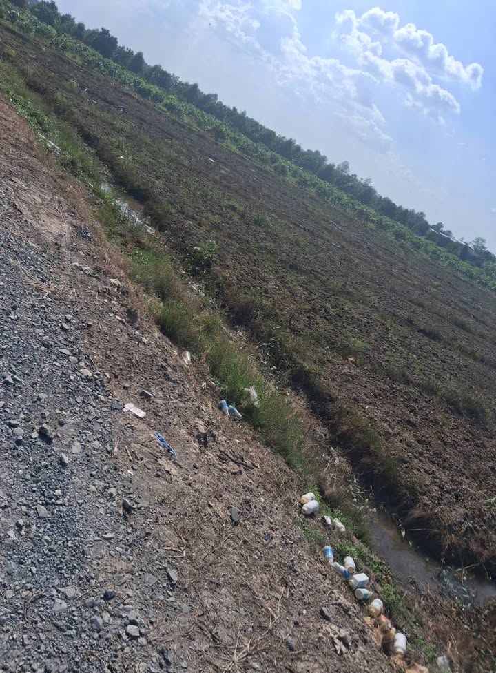 Đất ruộng Tân Lược, Vĩnh Long 10.000m² giá 2.2 tỷ - Cơ hội đầu tư tuyệt vời!