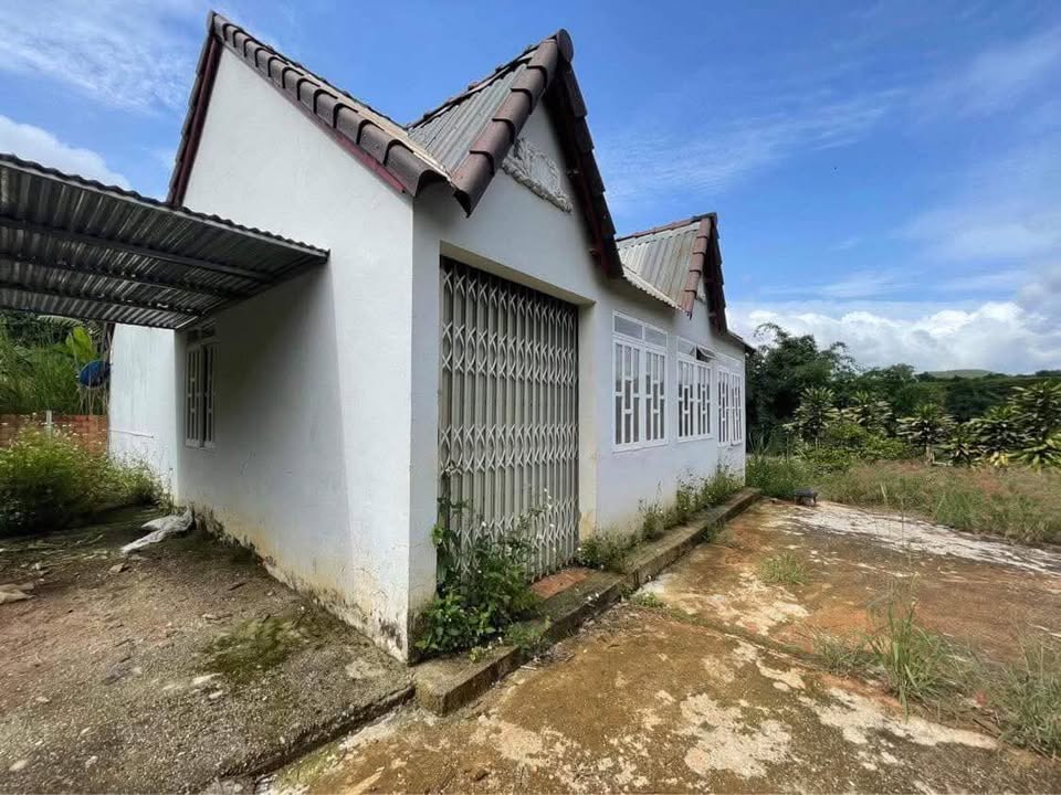 Đất và nhà cho thuê tại xã Tà Nung, Đà Lạt - 1ha chỉ 4 triệu/tháng