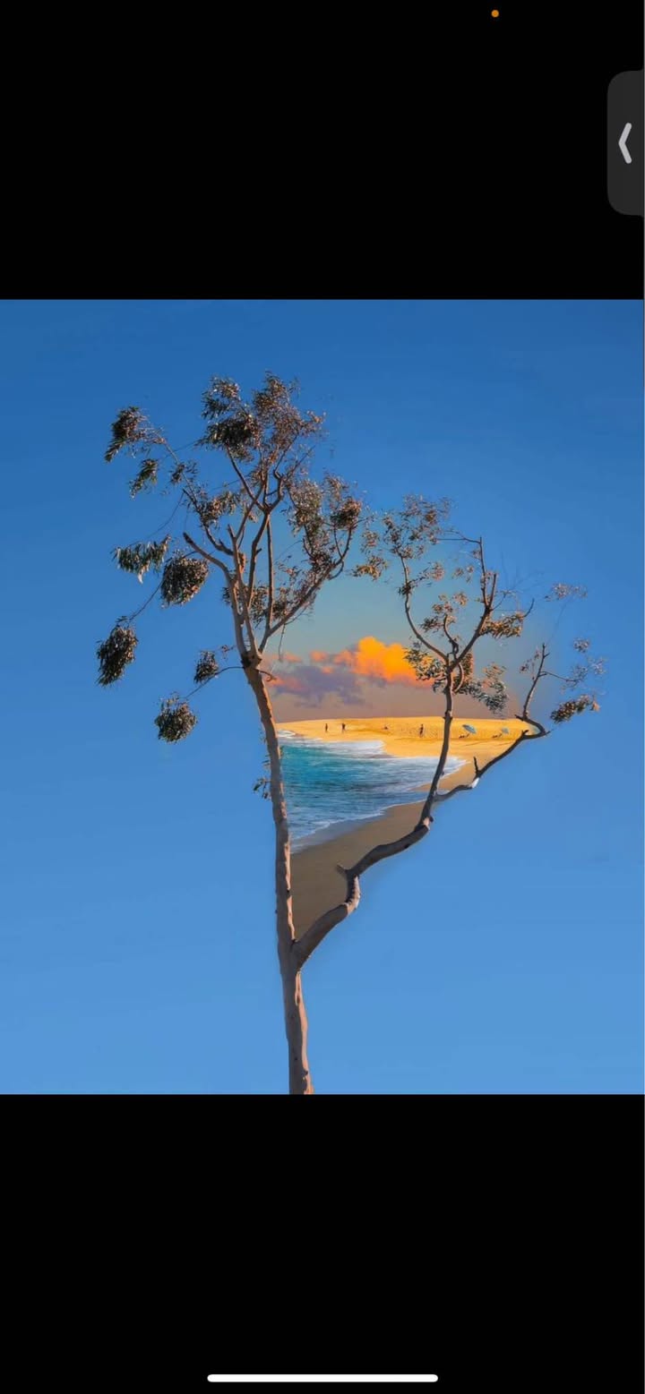 Nhà 4 tầng độc lập tại Đằng Lâm, 43m² giá 3.7 tỷ - Tiện ích hoàn hảo!