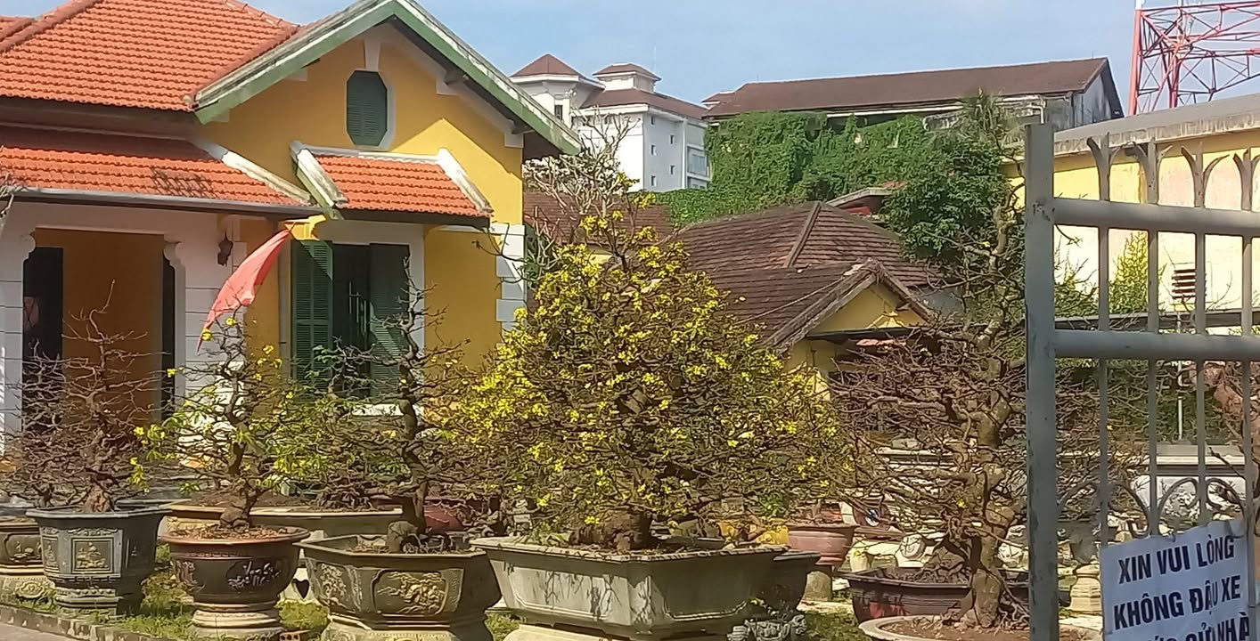 Đất nền trung tâm Phú Đa 200m² giá chỉ 1.1 tỷ - Cơ hội đầu tư hấp dẫn!