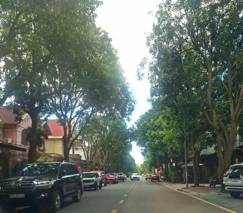 Bán nhà kinh doanh mặt đường Lê Hoàn, 162.5m² - Vị trí kim cương sầm uất!