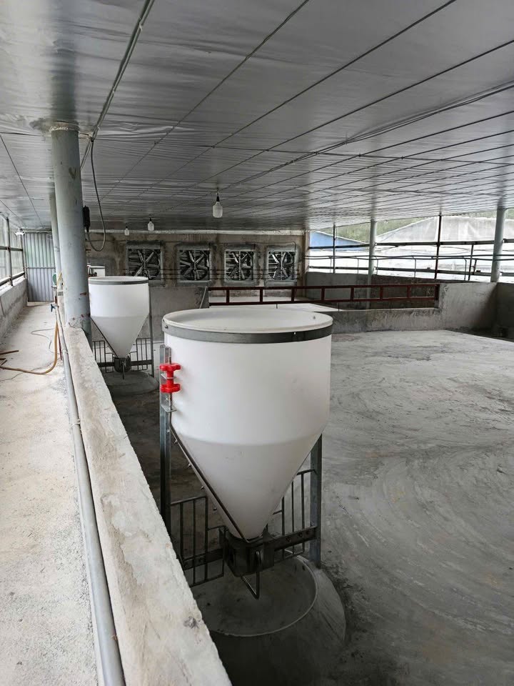 Farm Hợp Tiến Đồng Hỷ, Thái Nguyên 2000m² giá 1.2 tỷ - Phù hợp đầu tư hoặc sản xuất!