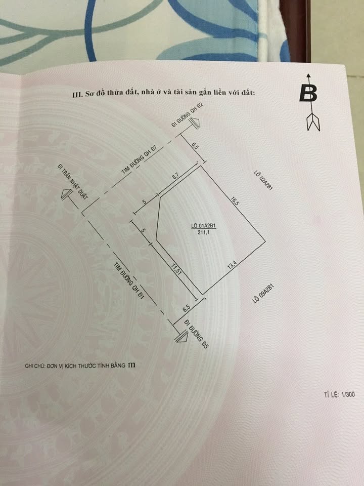 Đất nền hẻm Trần Nhật Duật, Phường Diên Hồng, 221m² chỉ 600 triệu - Cơ hội đầu tư hiếm có!