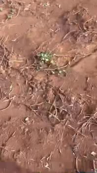 Đất thổ cư An Phú, Pleiku 175m² giá 399 triệu - Cơ hội đầu tư sinh lời!