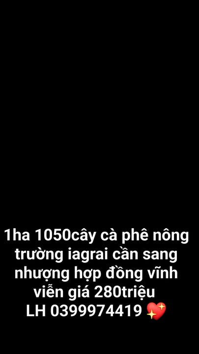 Farm cà phê 1ha tại thị trấn Ia Kha giá 280 triệu - Sổ đỏ vĩnh viễn!