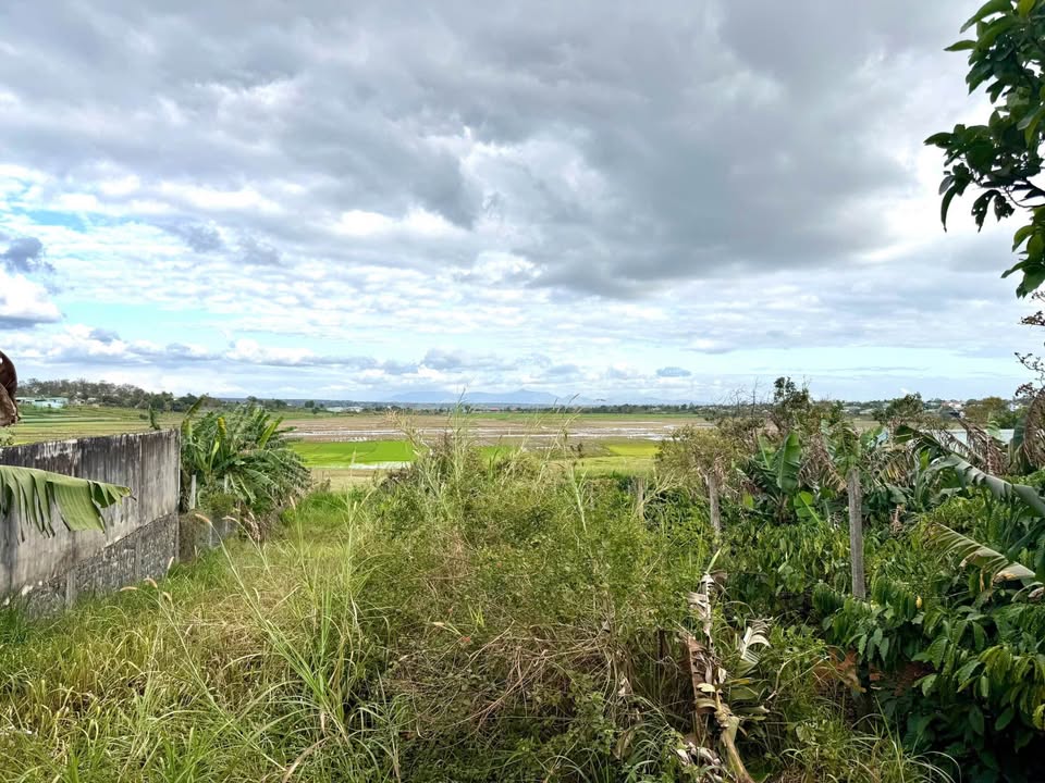 Đất nền đẹp tại công viên Phượng Hoàng, Pleiku - 840m² giá 8.4 tỷ - Đầu tư sinh lời!