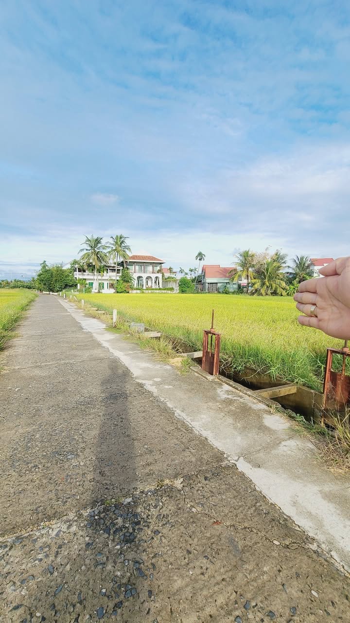 Đất nền Phường Cẩm Châu, Hội An 500m² giá 13.8 tỷ - View lúa tuyệt đẹp!