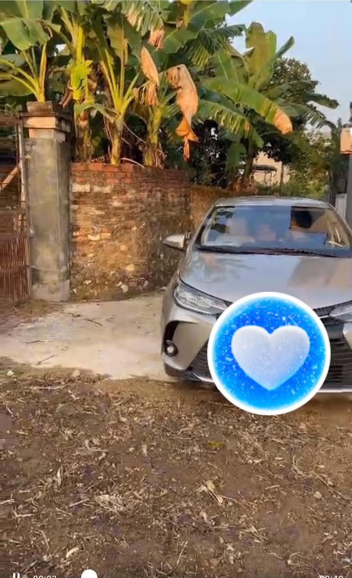 Đất nền tại Việt Yên 100m² giá chỉ 800 triệu - Cơ hội đầu tư hấp dẫn!