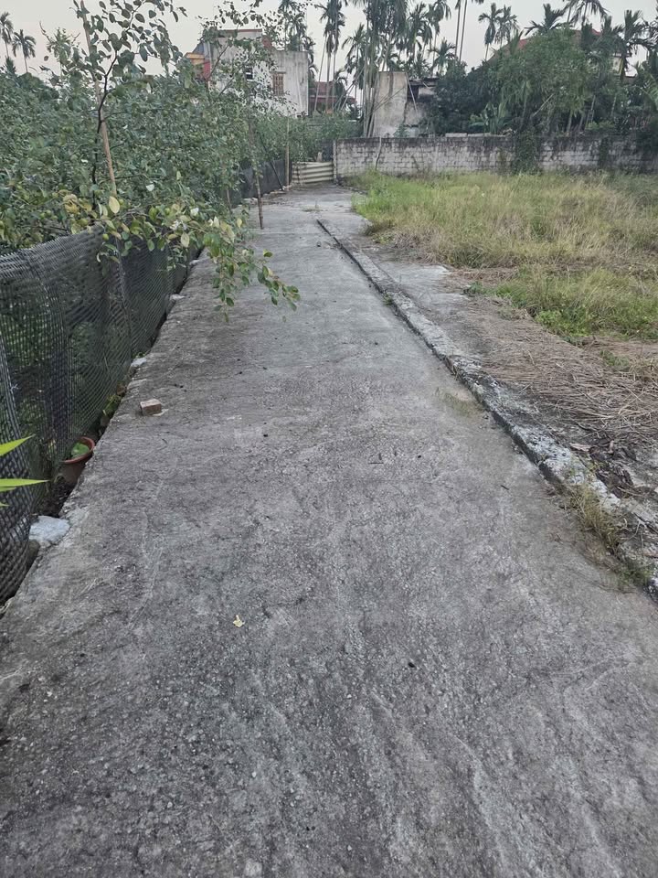 Đất thổ cư 77.6m² Liên Nghĩa, Văn Giang chỉ 2 tỷ - Đầu tư sinh lời ngay!