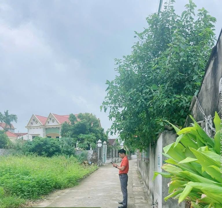 Đất thổ cư 70m² tại Tiên Lữ giá 1 tỷ - Đường ô tô tránh thuận tiện!