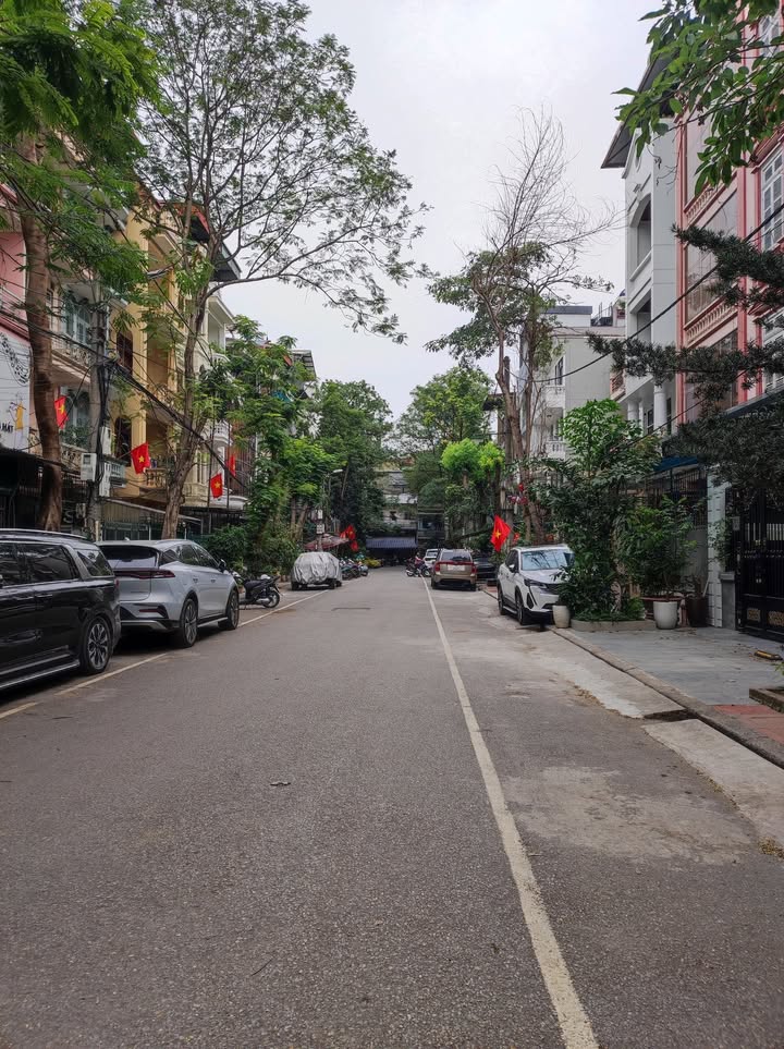 Nhà phân lô Trương Định 66m² giá thỏa thuận - Thiết kế hiện đại, ô tô vào tận nhà!