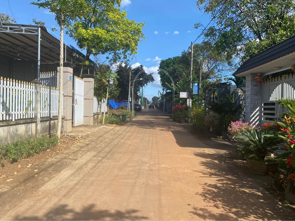 Đất nền Tiến Hưng Đồng Xoài 367m² giá 1.6 tỷ - Vị trí đẹp đầu tư sinh lời!