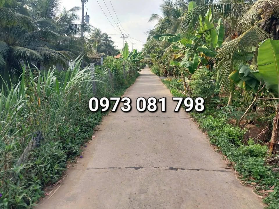 Đất vườn dừa 520m² tại Phú Khánh, Thạnh Phú chỉ 80 triệu - Cơ hội đầu tư tuyệt vời!