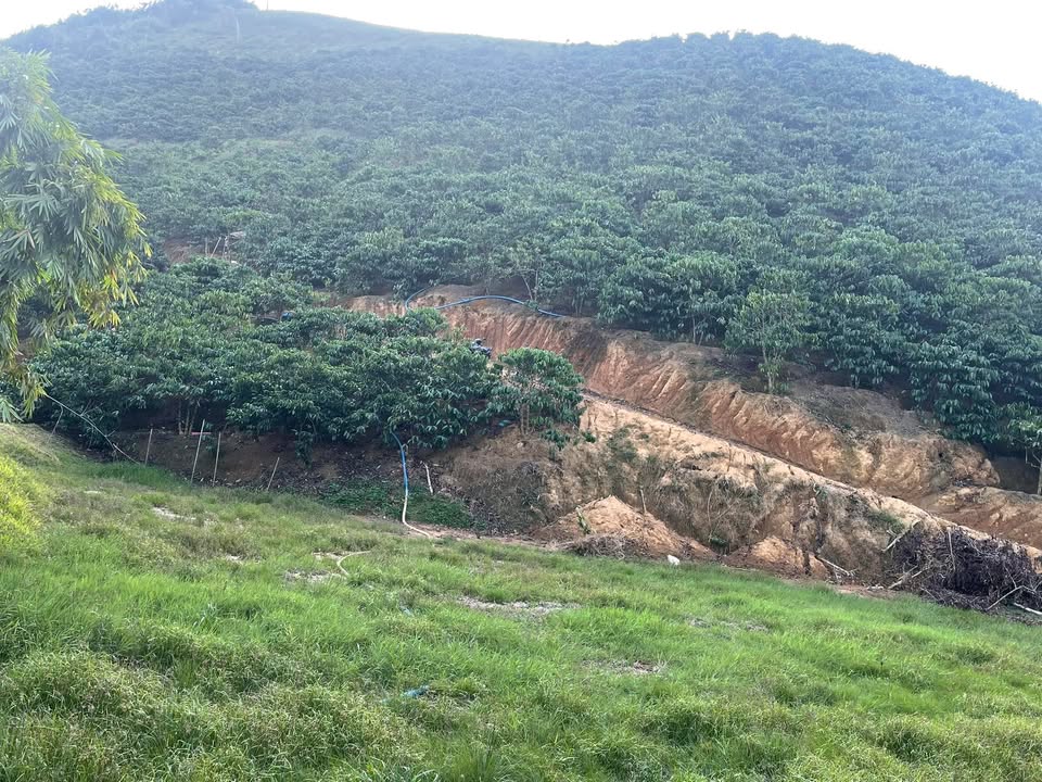 Farm 1.1ha thôn 11, xã Quảng Hoà, giá 750 triệu - Đầy đủ tiện nghi tưới tiêu