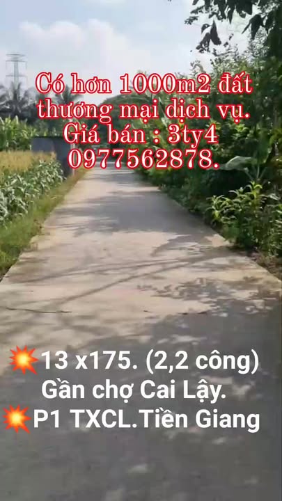 Đất mặt tiền đường xe ô tô tại Phường 1, Thị xã Cai Lậy, 2200m² giá 3.4 tỷ - Đầu tư sinh lời ngay!