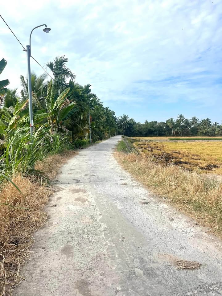 Đất nền chính chủ Xã Song Phú - Huyện Tam Bình, Vĩnh Long, 100m², giá chỉ từ 2.1 tỷ!