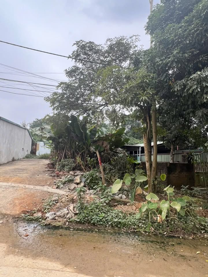 Đất thổ cư Đàm Quang Trung Long Biên 109m² giá 1.82 tỷ - Cơ hội đầu tư hấp dẫn!