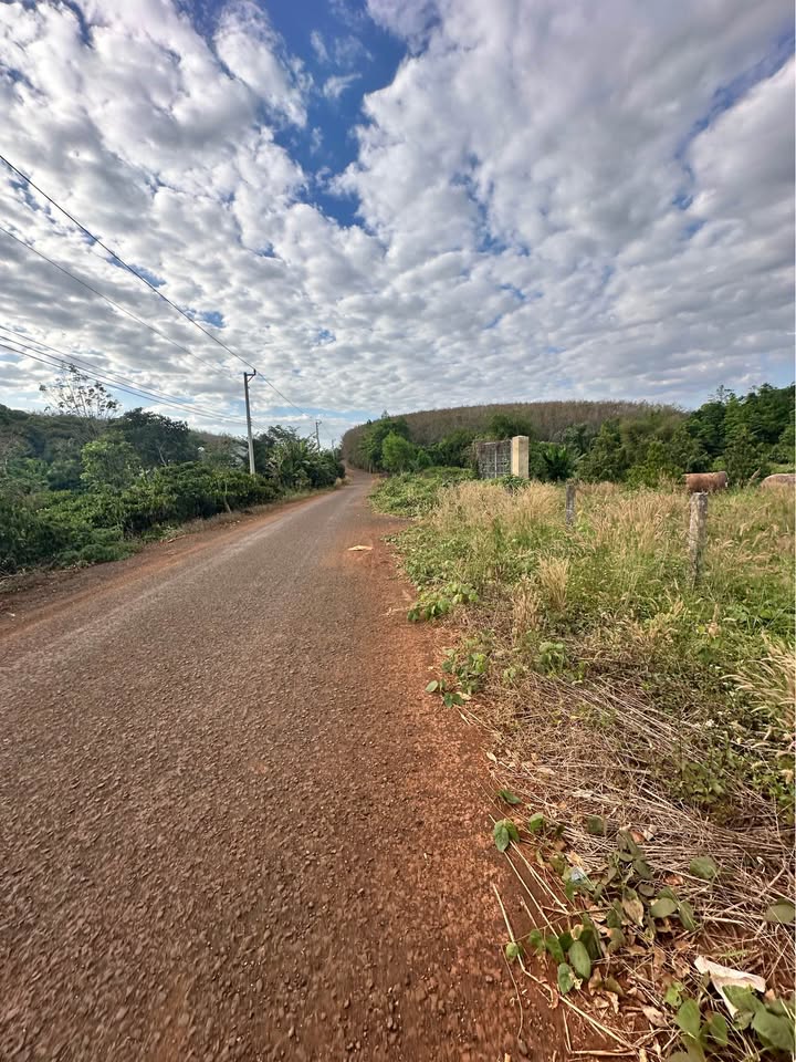 Đất nền Đồng Phú Bình Phước 1.000m² giá 145 triệu - Sổ riêng pháp lý rõ ràng!