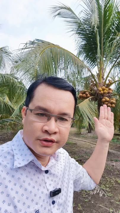 Bán vườn dừa 3200m² tại Xã An Thạnh Thủy, Chợ Gạo – Giá chỉ 1.916 tỷ!