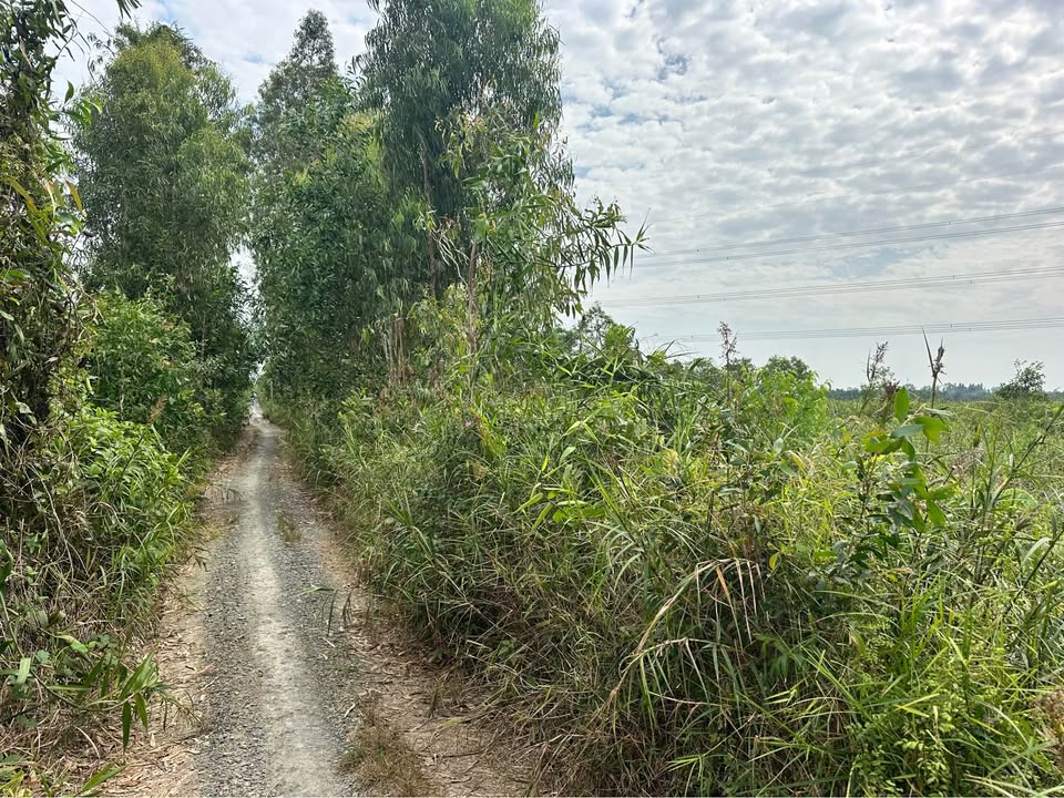 Đất nền Tân Phước, huyện Tân Phước, 600m² giá 350 triệu - Cơ hội đầu tư tuyệt vời!