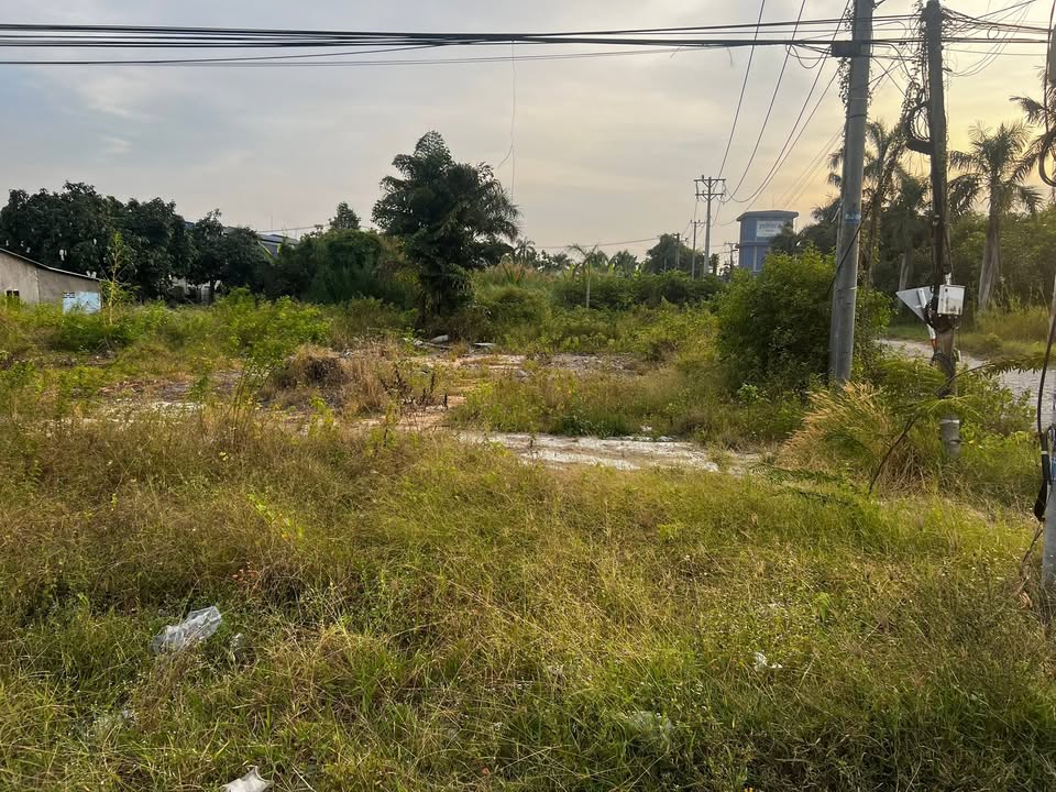 Đất mặt tiền Quốc lộ 30, Xã Bình Thành, 1950m² giá 18 tỷ - Cơ hội đầu tư lý tưởng!