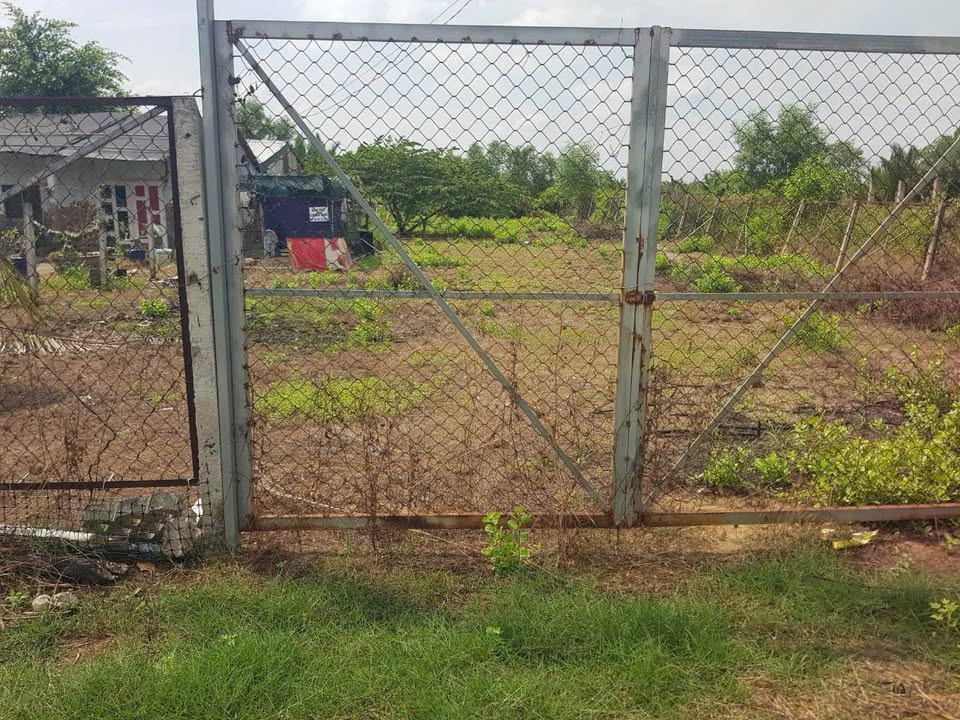 Đất nền Hiệp Phước Nhà Bè 991m² giá 10.8 tỷ - Cơ hội đầu tư hấp dẫn!