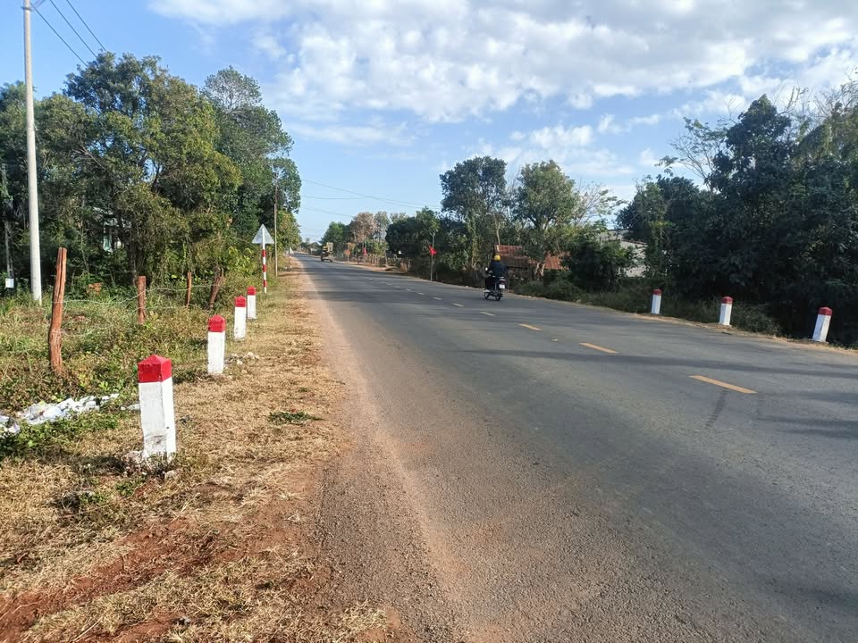 Bán lô đất nền mặt tiền QL25, Chư Sê, Gia Lai, diện tích 2ha, giá 5 tỷ - Sổ đỏ chính chủ