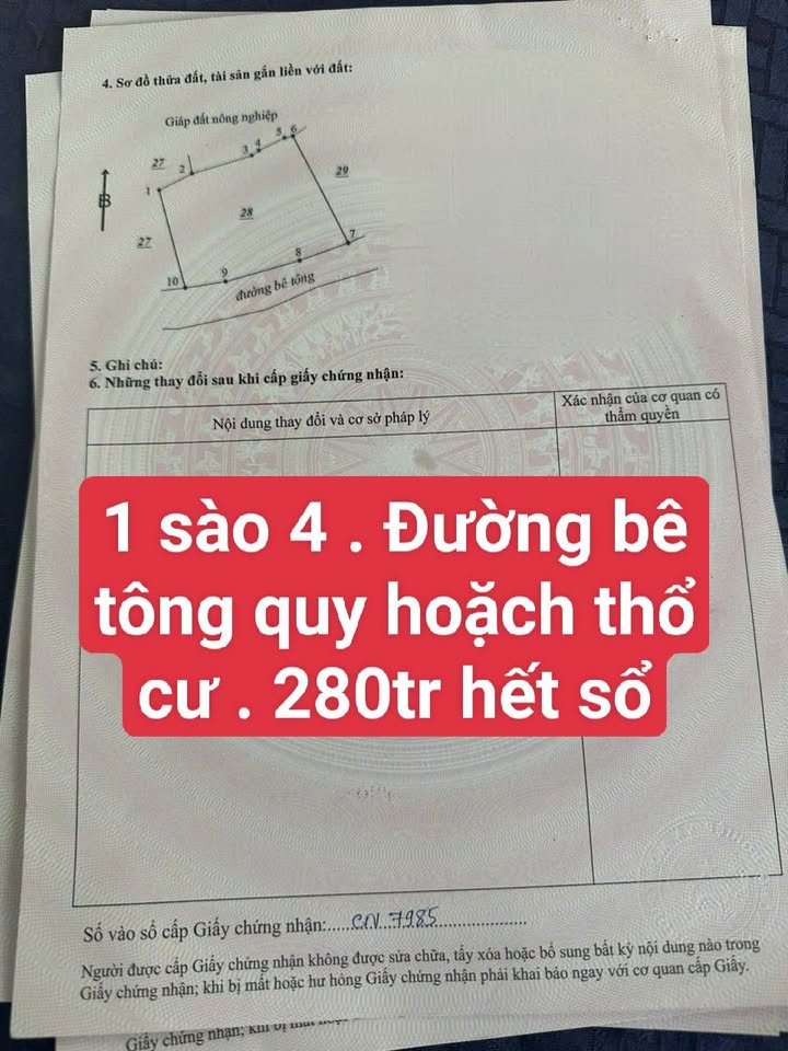 Đất nông nghiệp Huyện Bắc Bình 1440m² giá 280 triệu - Cơ hội vàng cho nhà đầu tư!