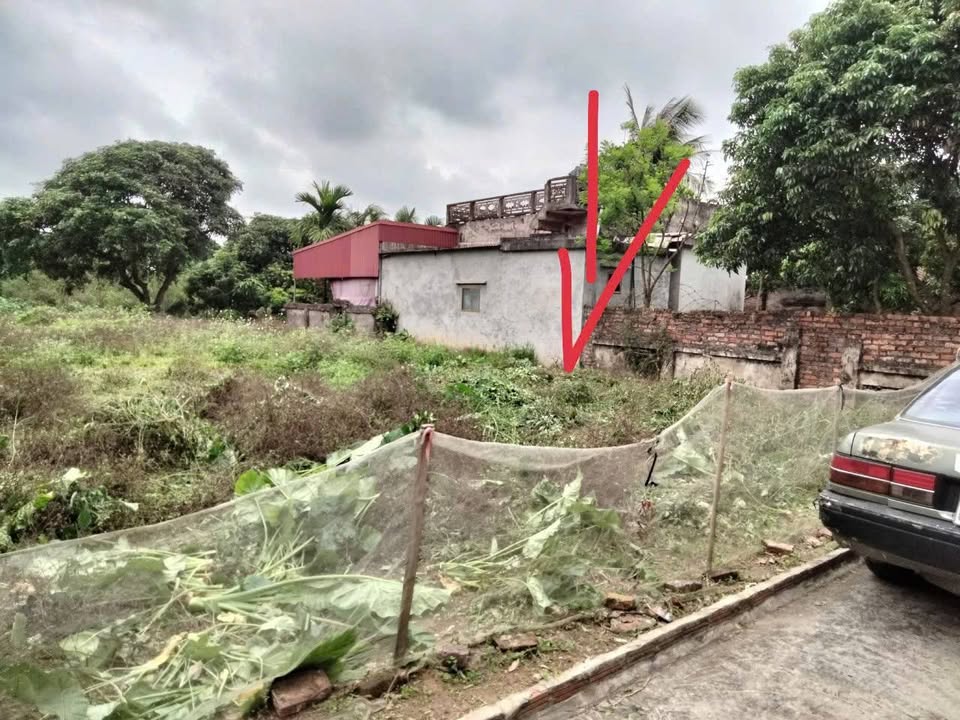 Đất thổ cư Đông Cường, Đông Hưng, Thái Bình 200m² giá 600 triệu - Cơ hội đầu tư hấp dẫn!