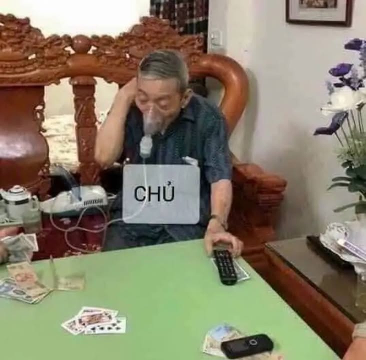 Mảnh vườn mít 1000m² tại Gò Vấp chỉ 200 triệu - Pháp lý rõ ràng!