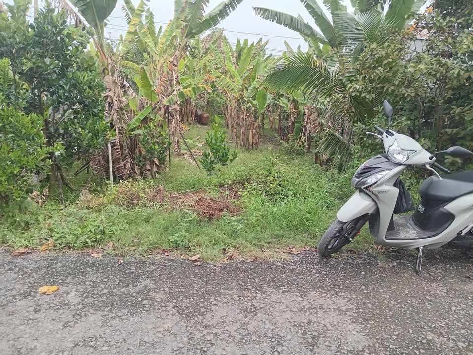 Đất nền xã Bình Phước, Huyện Mang Thít, Vĩnh Long 110m² giá 275 triệu - Cơ hội đầu tư hấp dẫn!