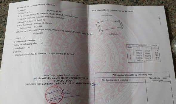 Đất vườn 1ha tại Xã Sông Bình, Huyện Bắc Bình - Đầu tư sinh lời ngay!