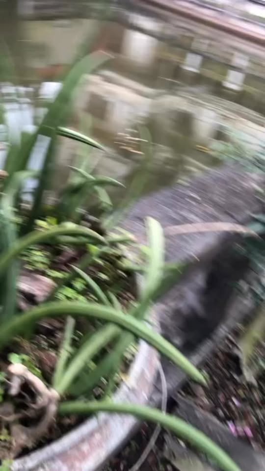 Biệt thự Xóm 11 Yên Lộc 246m² giá thỏa thuận - Đầu tư kinh doanh lý tưởng!