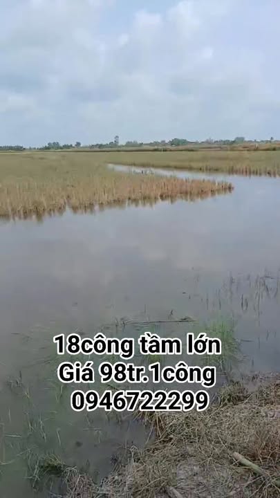 Đất ruộng 2 mặt tiền tại Xã Đông Hưng B, Kiên Giang, 21,600m² - Giá mềm chỉ 1.764 tỷ!