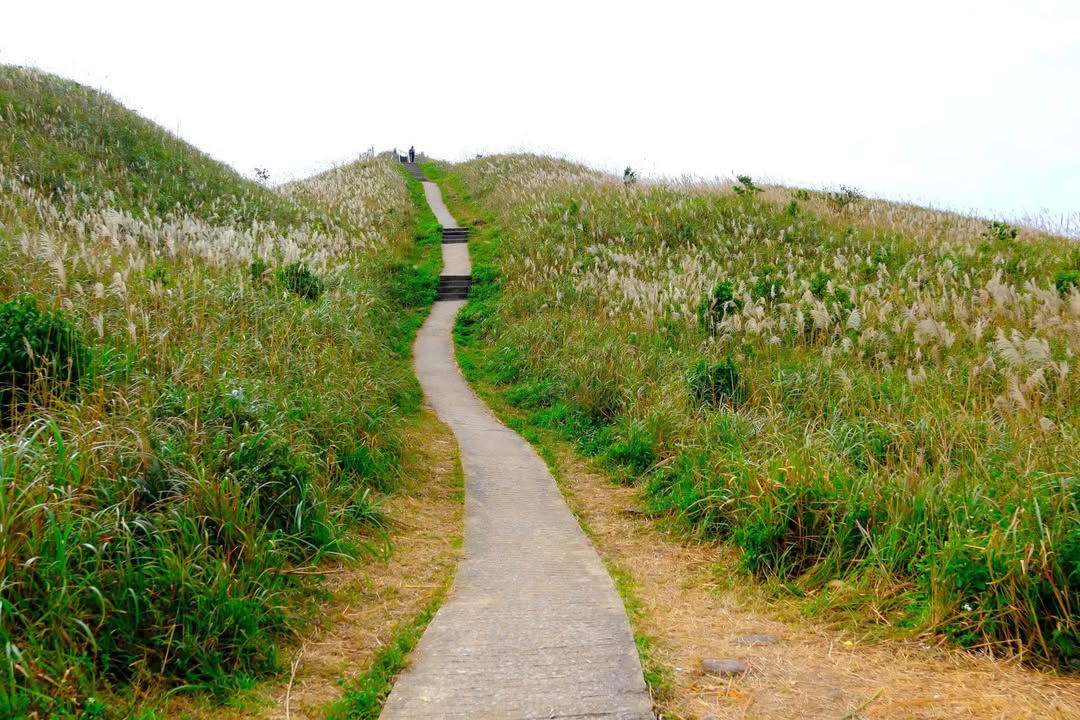 Đất thổ cư tại Tiên Sơn, Chí Linh 500m² giá thỏa thuận - Không khí trong lành, vị trí sinh thái đẹp!