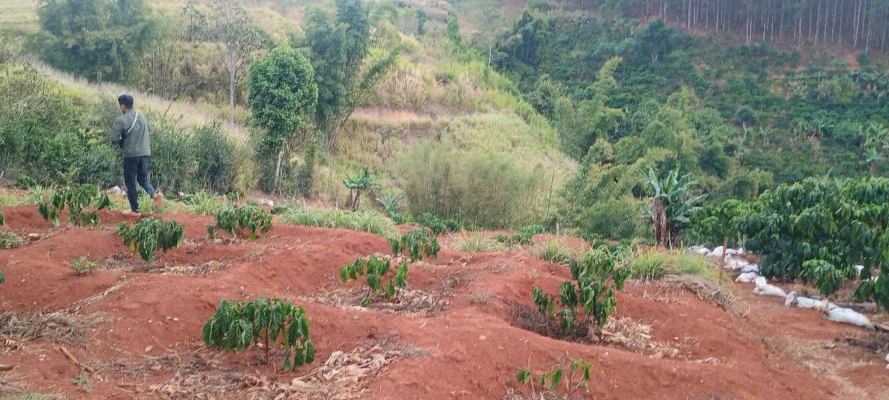 Đất nền đẹp tại thị trấn Nam Ban, 1550m² giá chỉ 1.5 tỷ - Tiềm năng đầu tư cao!