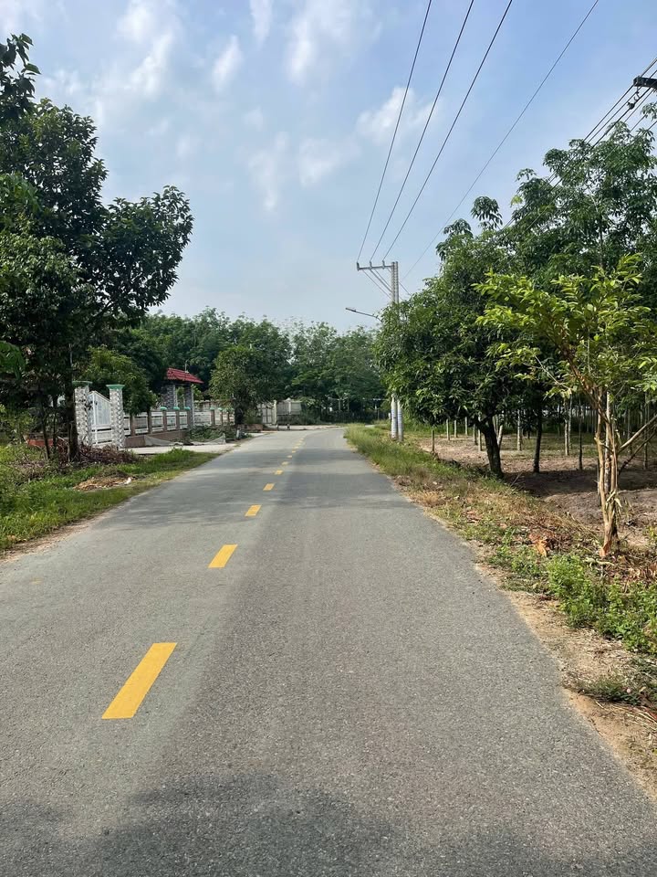 Đất nền mặt tiền đường DH619, Xã Long Nguyên, 1125m² - Cơ hội đầu tư tuyệt vời!