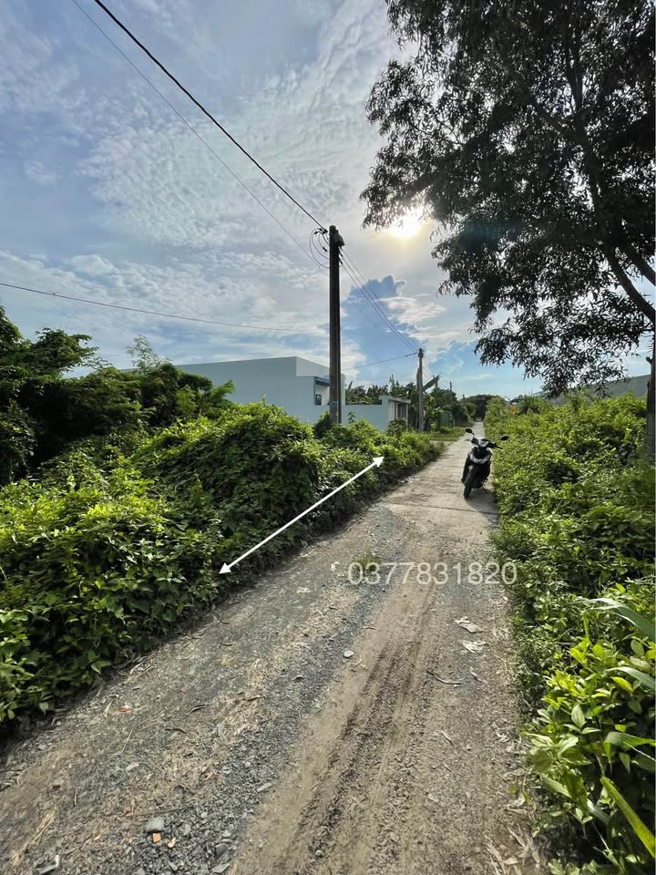 Đất Mặt Tiền Nhánh Đường Cháo Dơi, Huyện Châu Thành, 105m² giá 330 triệu - Cơ hội đầu tư hấp dẫn!