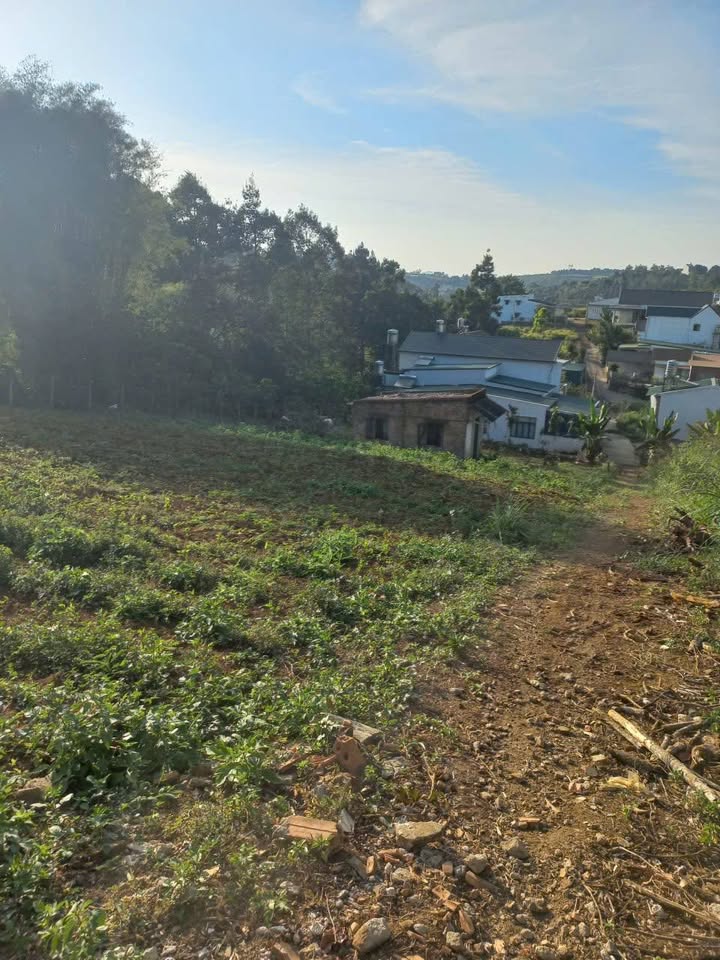 Đất nền Hẻm 200 Phan Đình Phùng, Bảo Lộc 240m² giá 1.8 tỷ - Đầu tư sinh lời hấp dẫn!