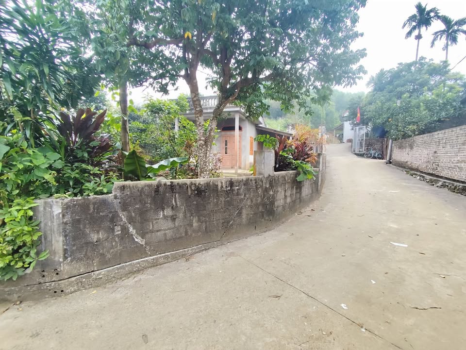 Đất nền Ba Vì 600m² giá 1 tỷ - Sổ đỏ chính chủ, vào ở ngay!