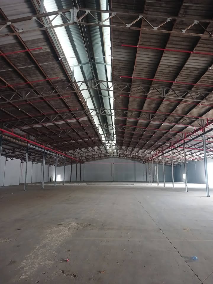 Xưởng cho thuê tại Thuận An, Bình Dương - Diện tích 3800m², Giá chỉ 425 triệu/tháng!