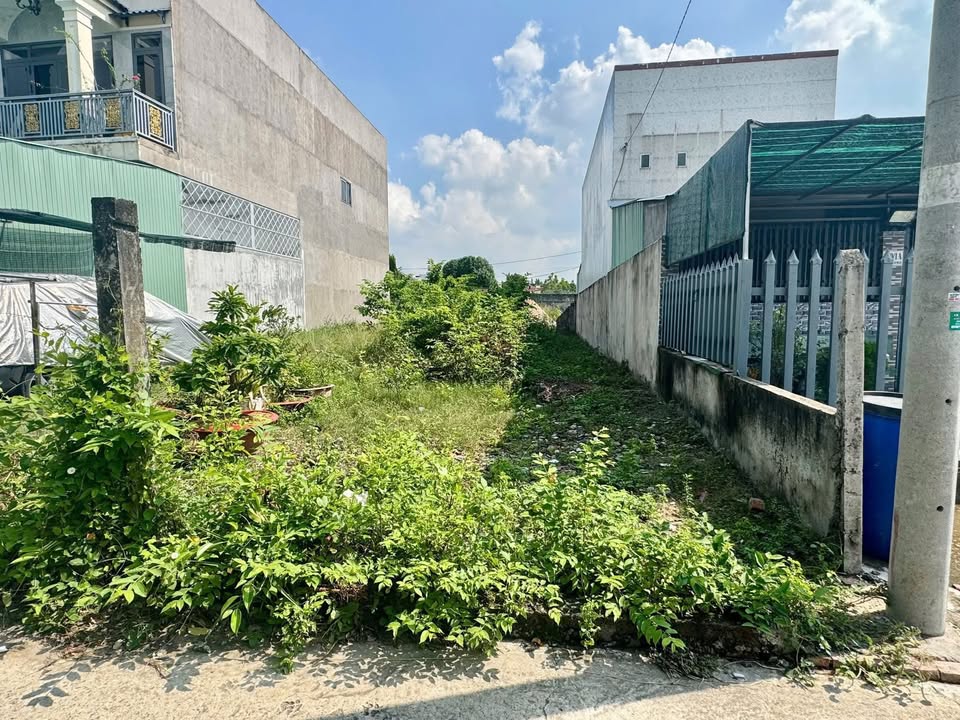 Đất nền 126,6m² Tân Phú Trung Củ Chi chỉ 1,6 tỷ - Bán gấp, sổ hồng riêng!