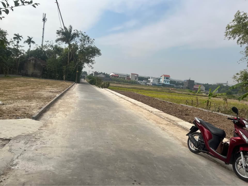 Đất nền chính chủ tại đường Cao Phương, Vụ Bản, 98.5m² - Đầu tư sinh lời cao!