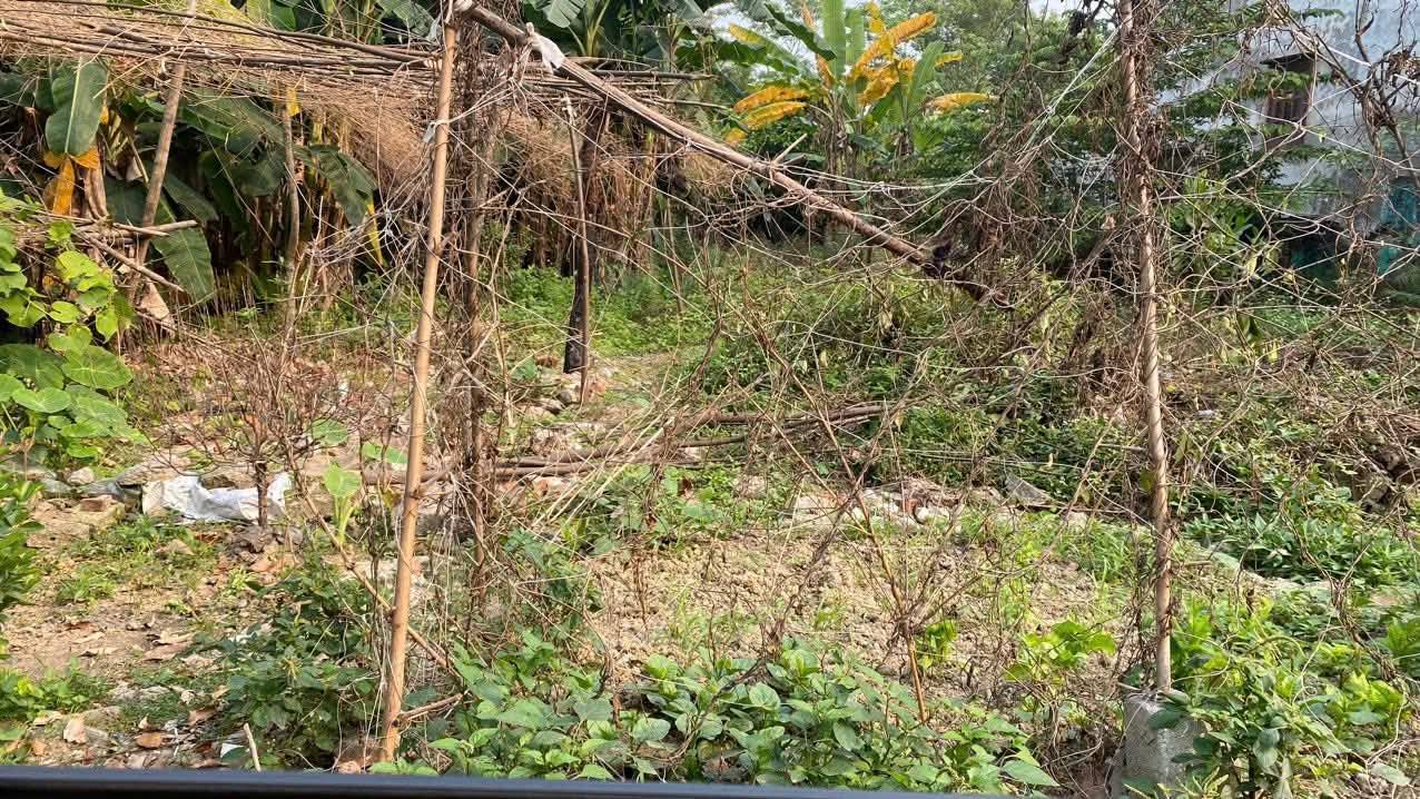 Đất nền thôn Nga Bắc, Thanh Liêm 269m² giá chỉ 2.69 tỷ - Sổ đỏ chính chủ!