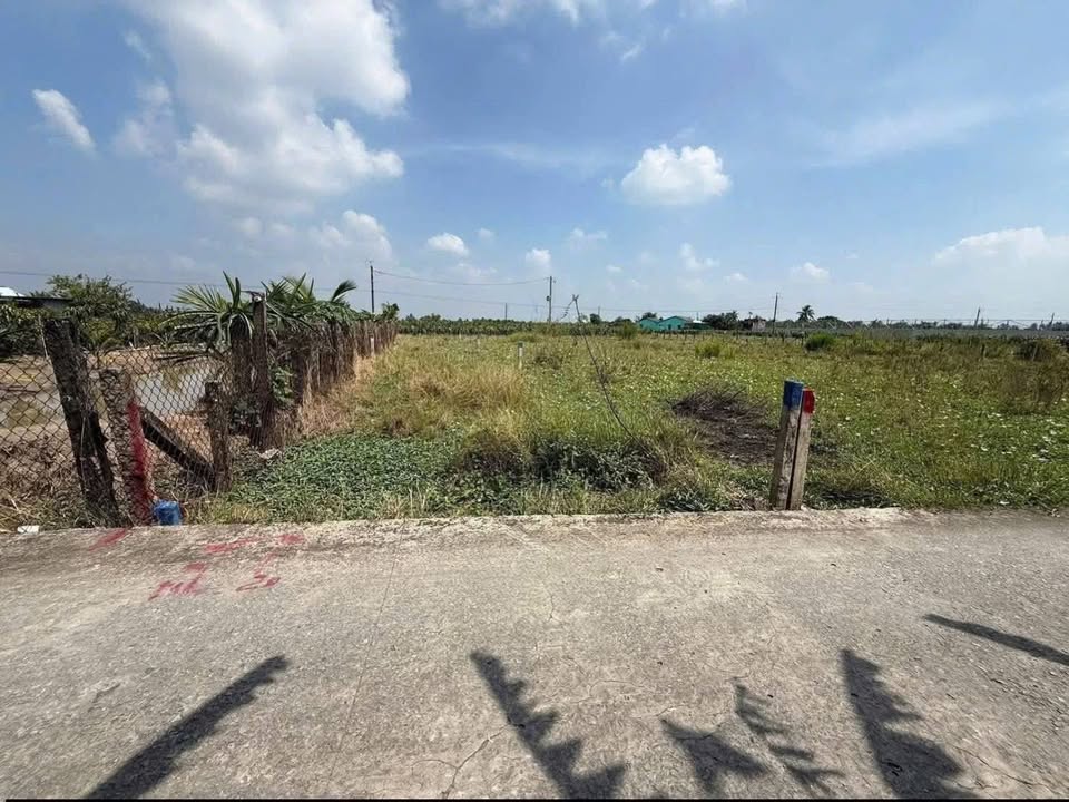 Đất thổ cư 150m² tại ấp An Bình, Long An giá 430 triệu - Đầu tư sinh lời hấp dẫn!